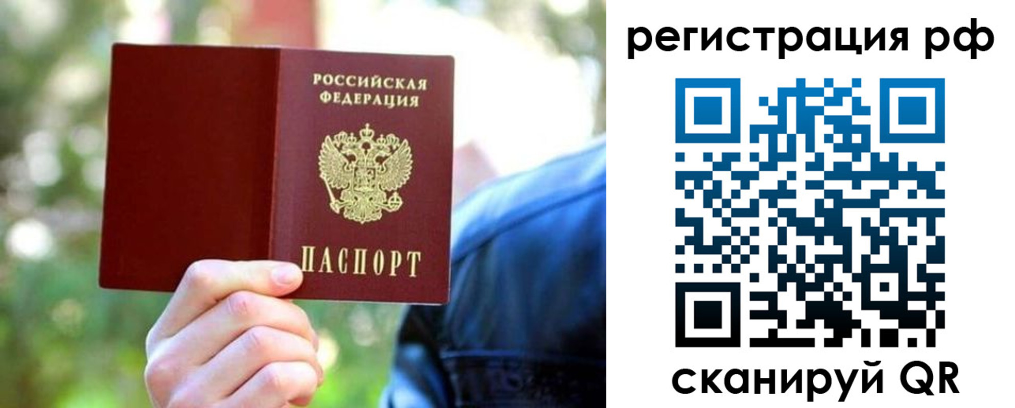 прописка поиск в Ковдоре
